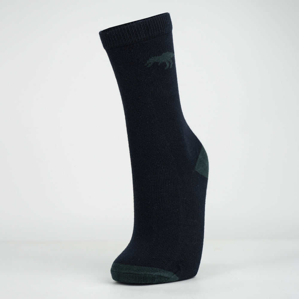 Boy's Dinosaur Adventure Crew Socks
