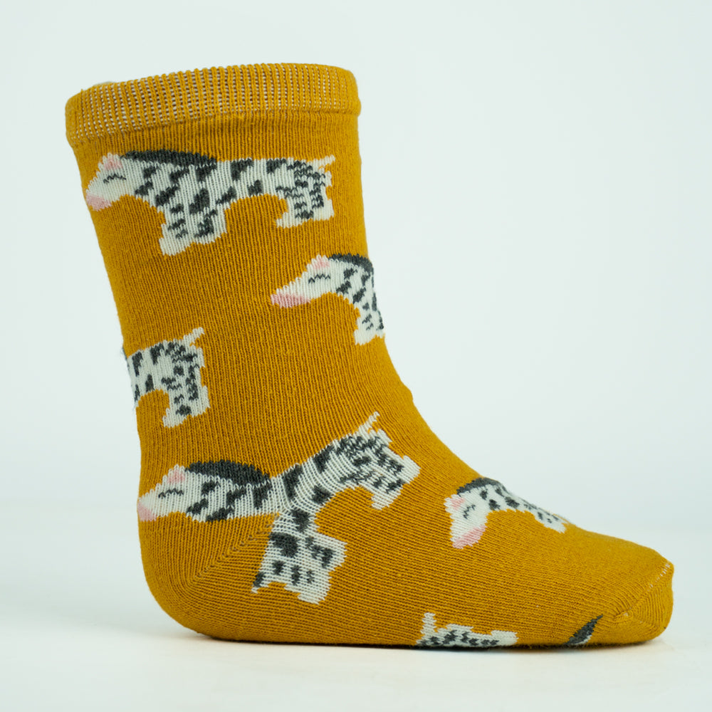 Premium Zebra Print Baby Boys' Socks