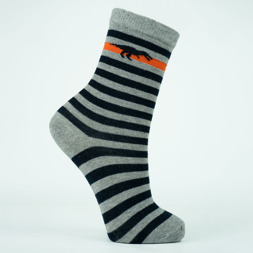 Dino-Stripe Crew Boys Socks