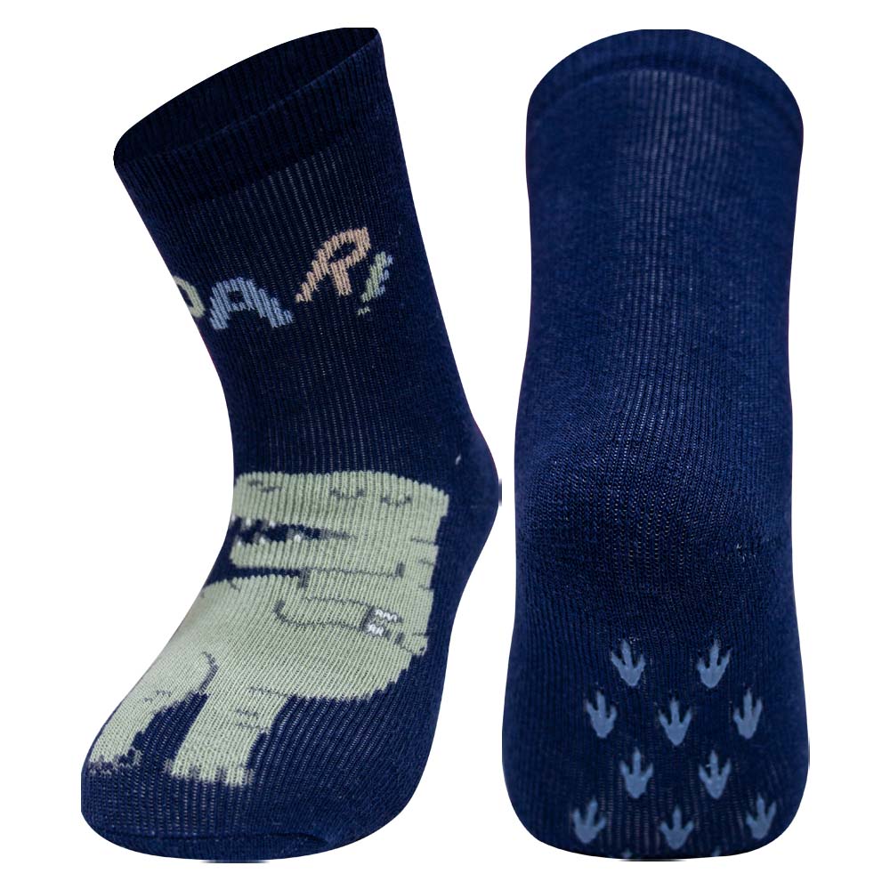 ROAR! Dino Print Anti-Slip Socks for Baby Boys