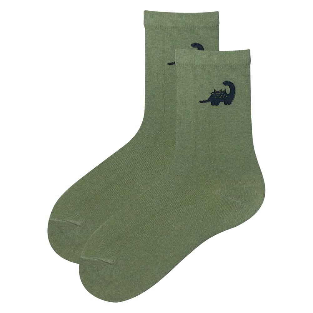 Boy’s Dinosaur Design Socks