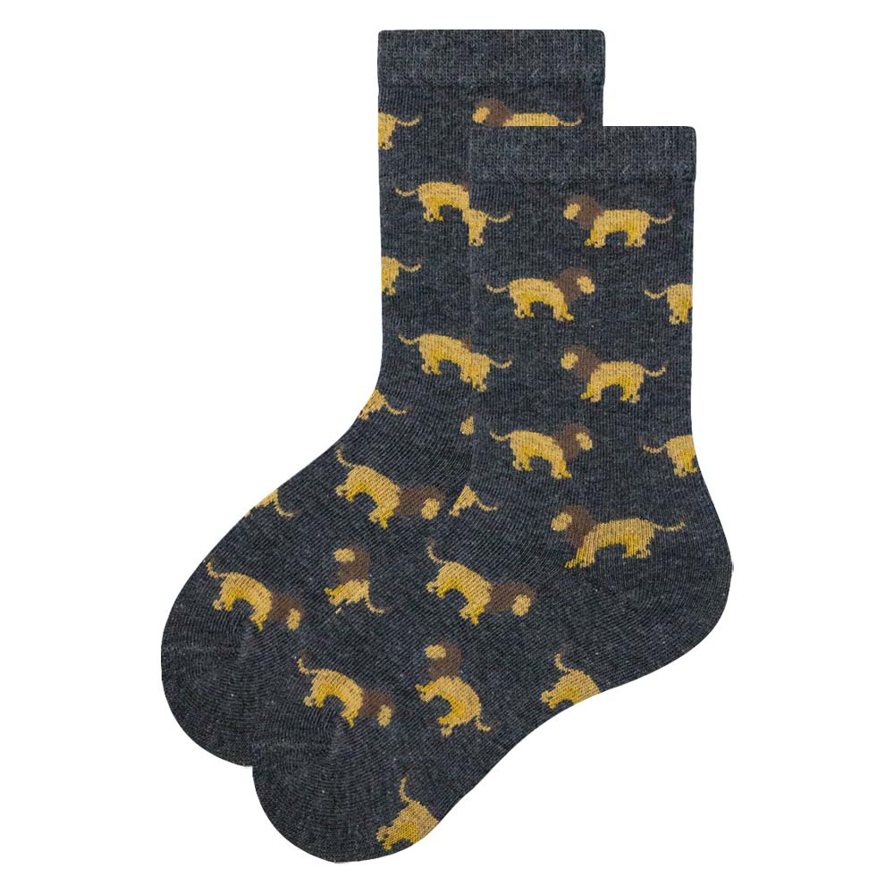 Mighty Roar Boys' Crew Socks