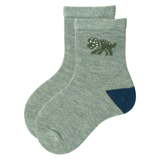 Cozy Dino-Adventure Boys Socks