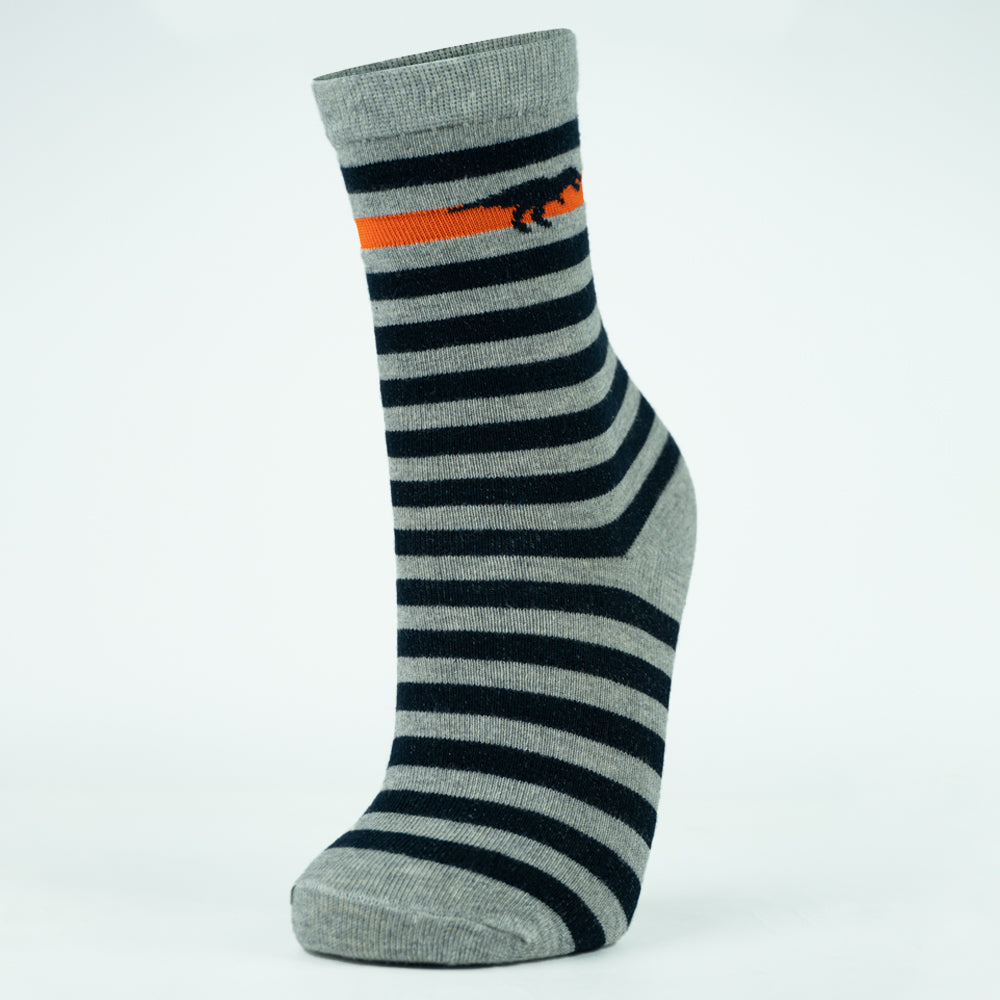 Dino-Stripe Crew Boys Socks