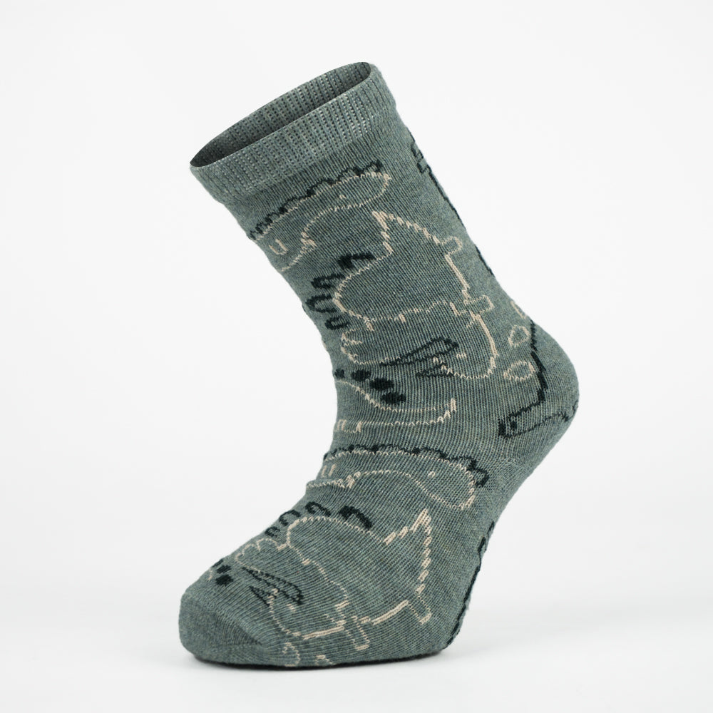Premium Dinosaur Print Boy Crew Socks