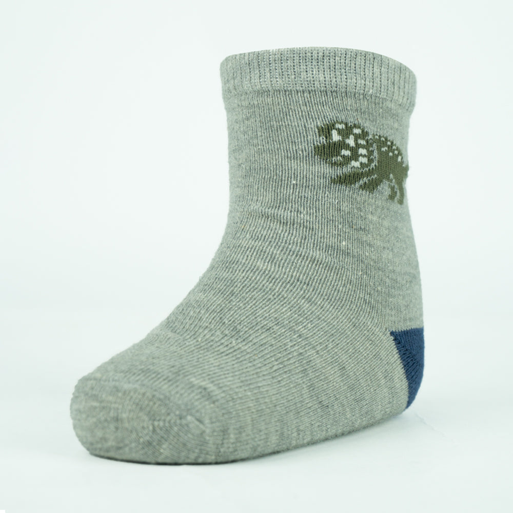 Cozy Dino-Adventure Boys Socks