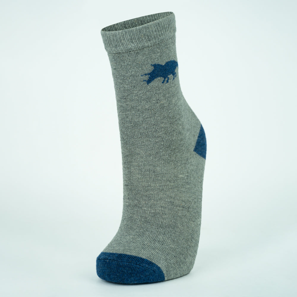 Boy’s Triceratops Adventure Crew Socks