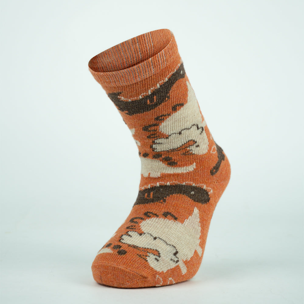 Dinosaur Print Socks for Baby Boys