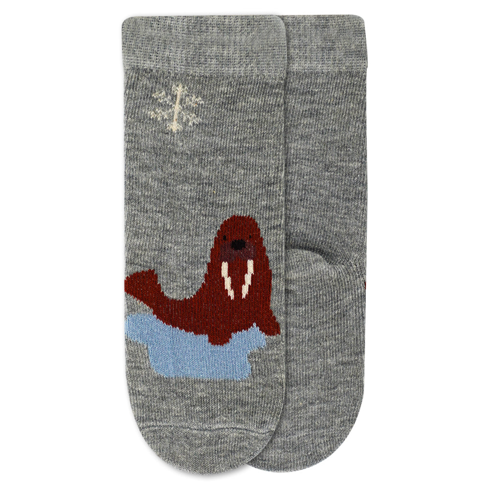 Pack of 3 - Arctic Adventure Boys Socks