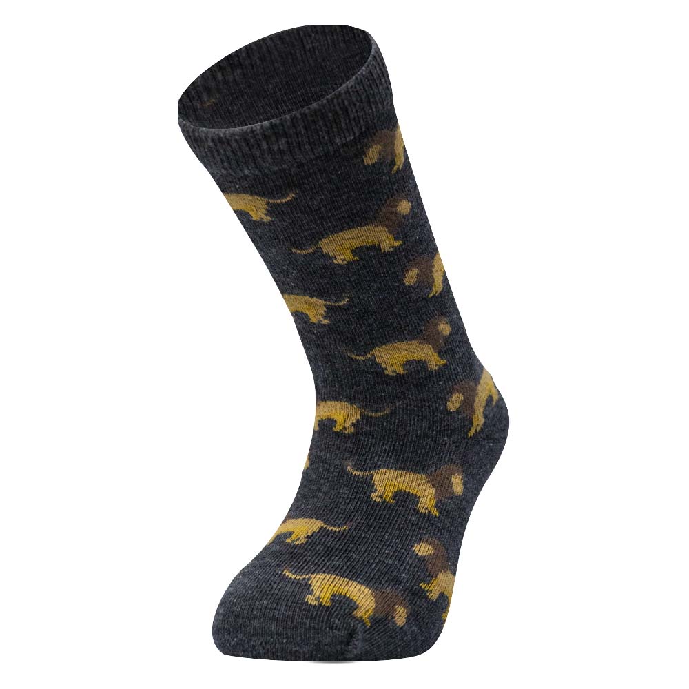 Mighty Roar Boys' Crew Socks