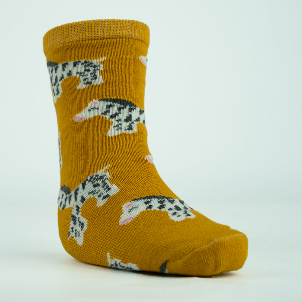 Premium Zebra Print Baby Boys' Socks