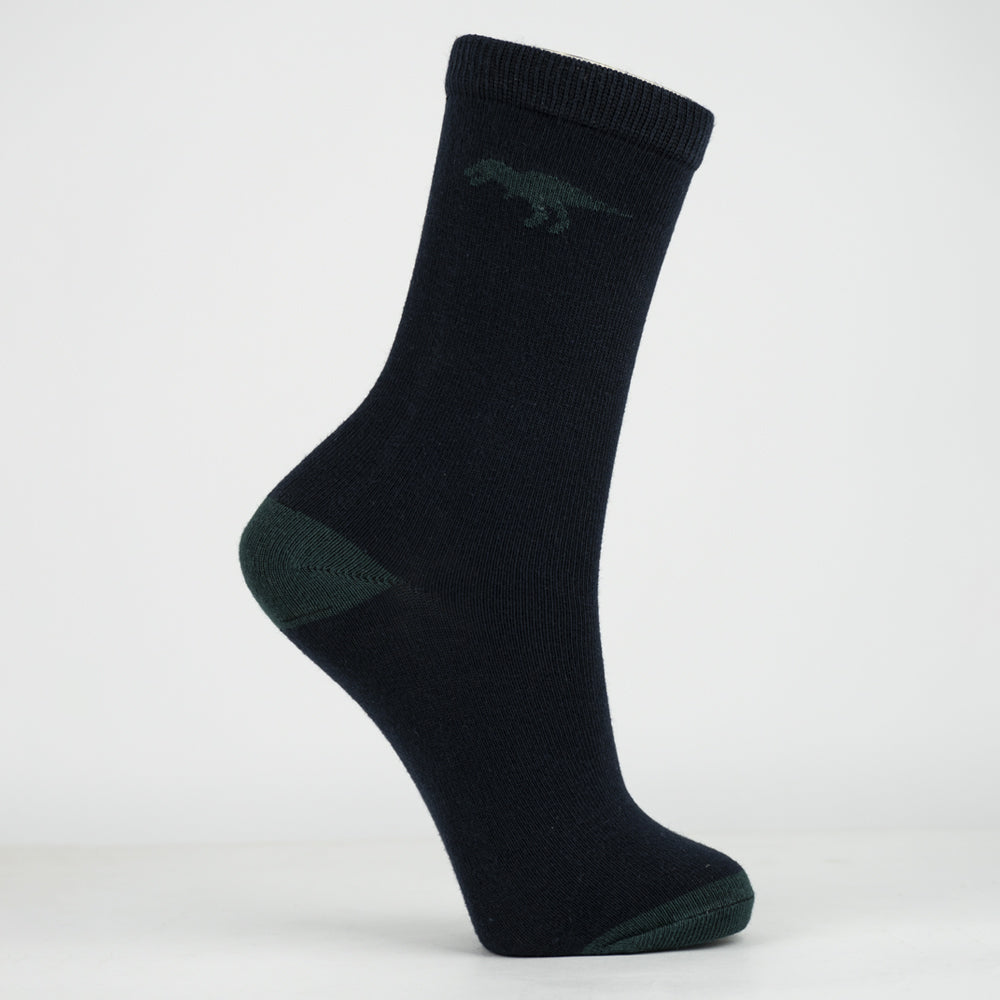 Boy's Dinosaur Adventure Crew Socks