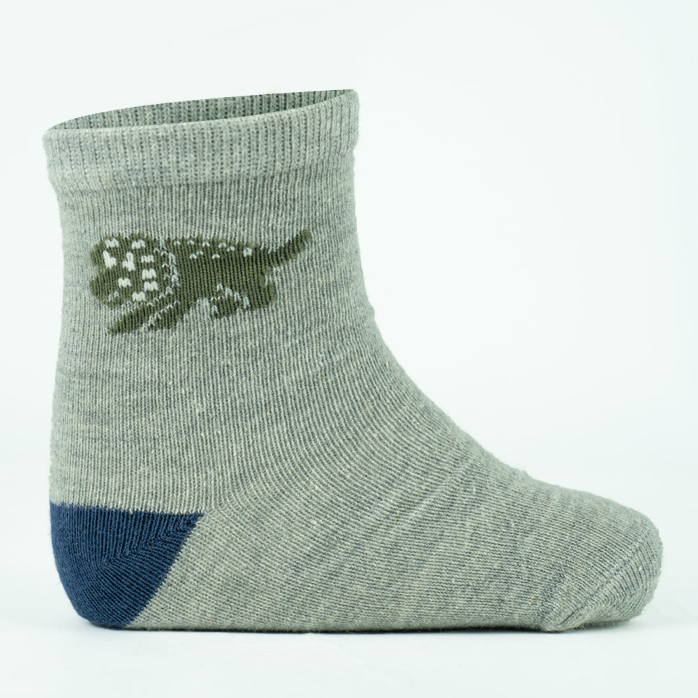 Cozy Dino-Adventure Boys Socks