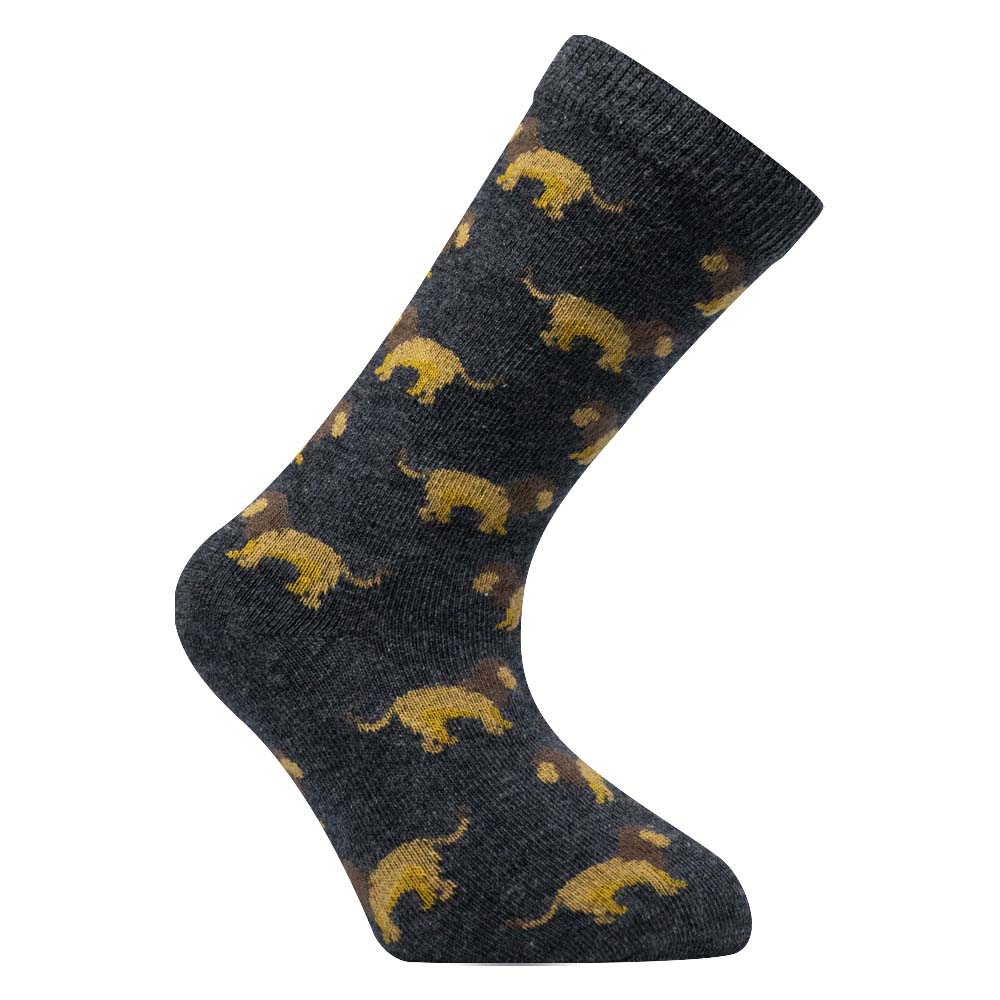 Mighty Roar Boys' Crew Socks