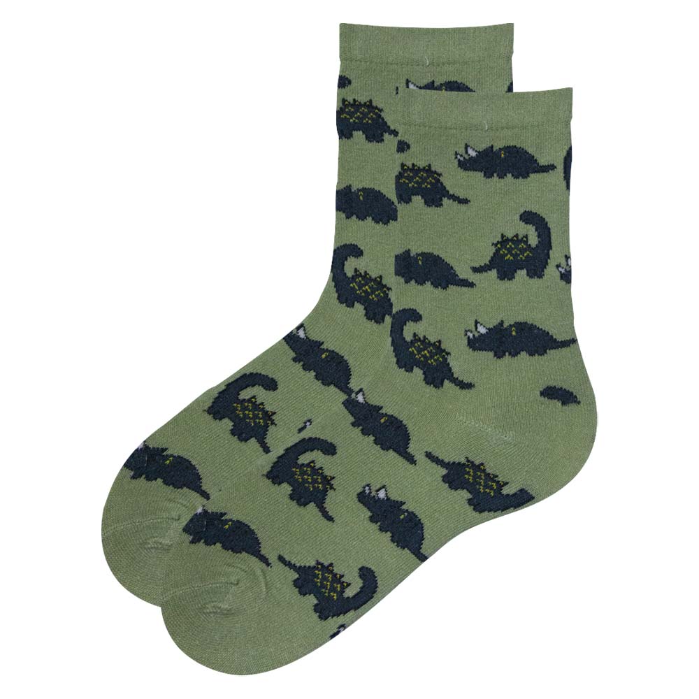 Boy’s Dinosaur Design Socks
