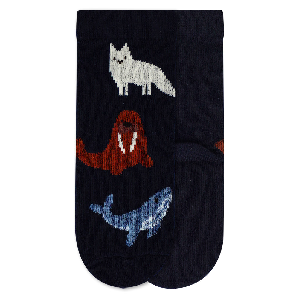 Pack of 3 - Arctic Adventure Boys Socks