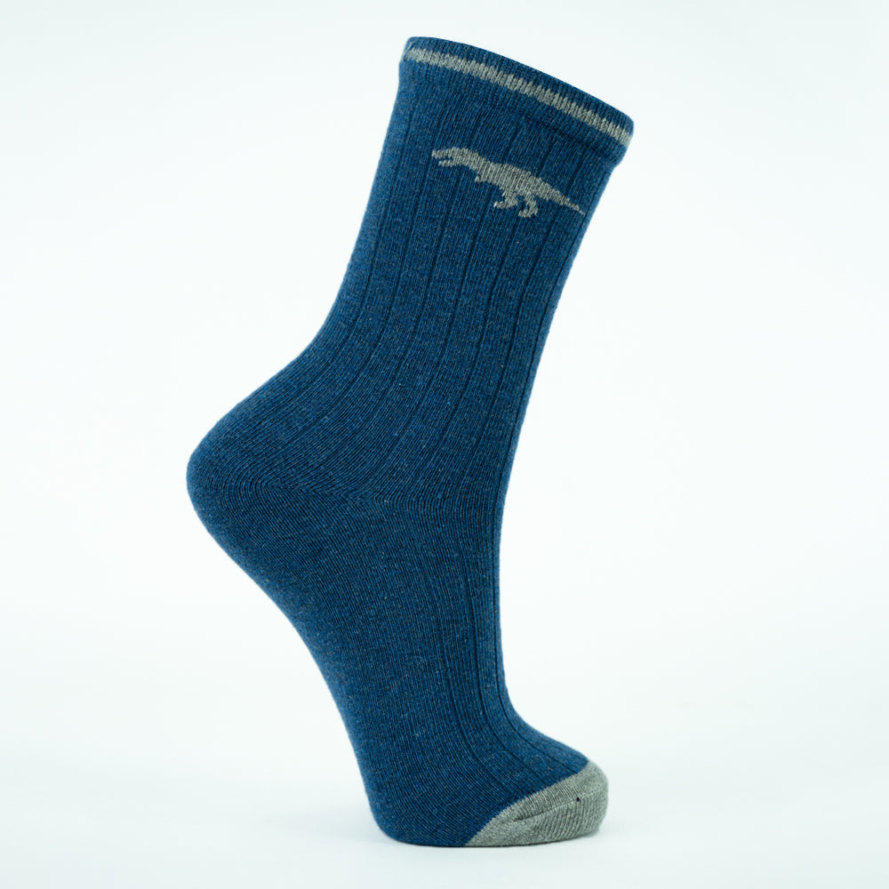 Boys Dinosaur Ribbed Crew Socks