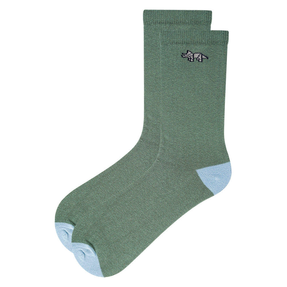 Boys Adventure Dinosaur Print Crew Socks