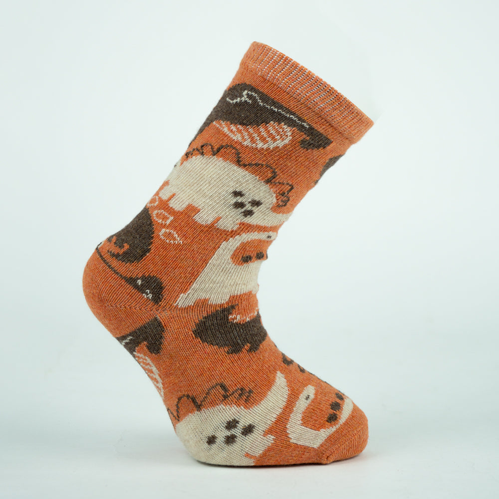 Dinosaur Print Socks for Baby Boys