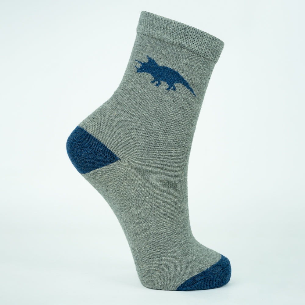 Boy’s Triceratops Adventure Crew Socks