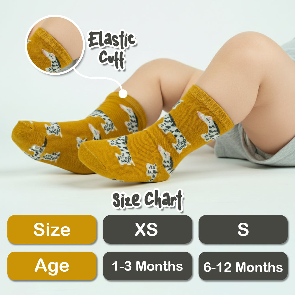 Premium Zebra Print Baby Boys' Socks