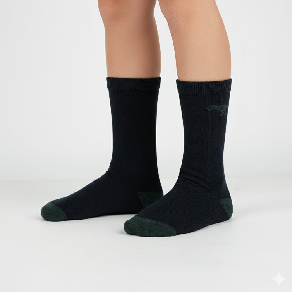 Boy's Dinosaur Adventure Crew Socks