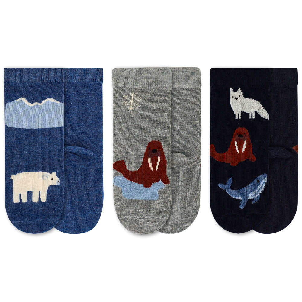 Pack of 3 - Arctic Adventure Boys Socks