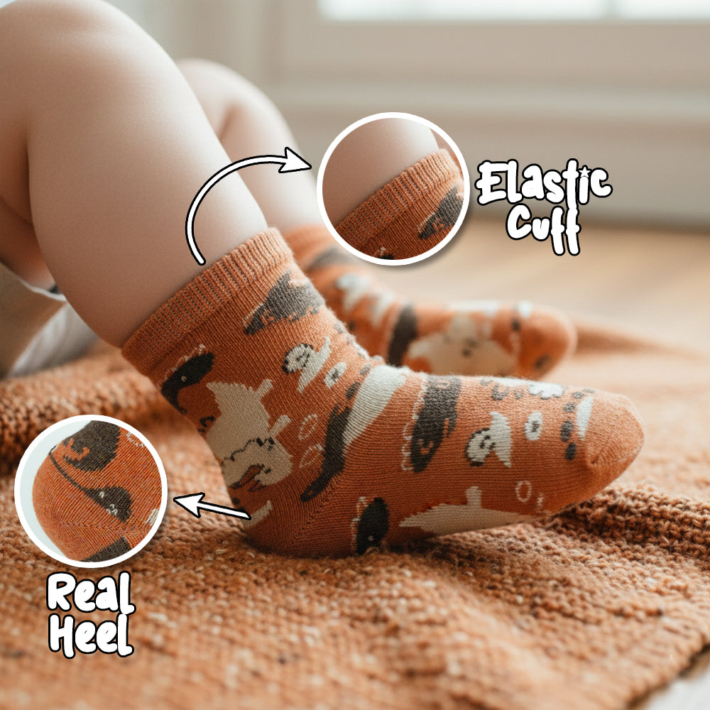 Dinosaur Print Socks for Baby Boys