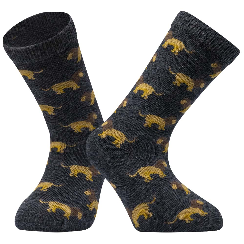 Mighty Roar Boys' Crew Socks