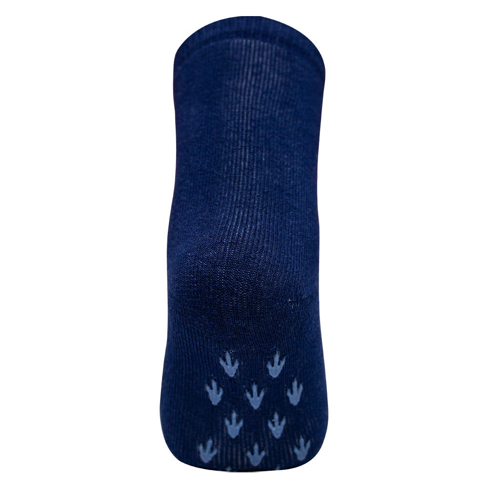 ROAR! Dino Print Anti-Slip Socks for Baby Boys
