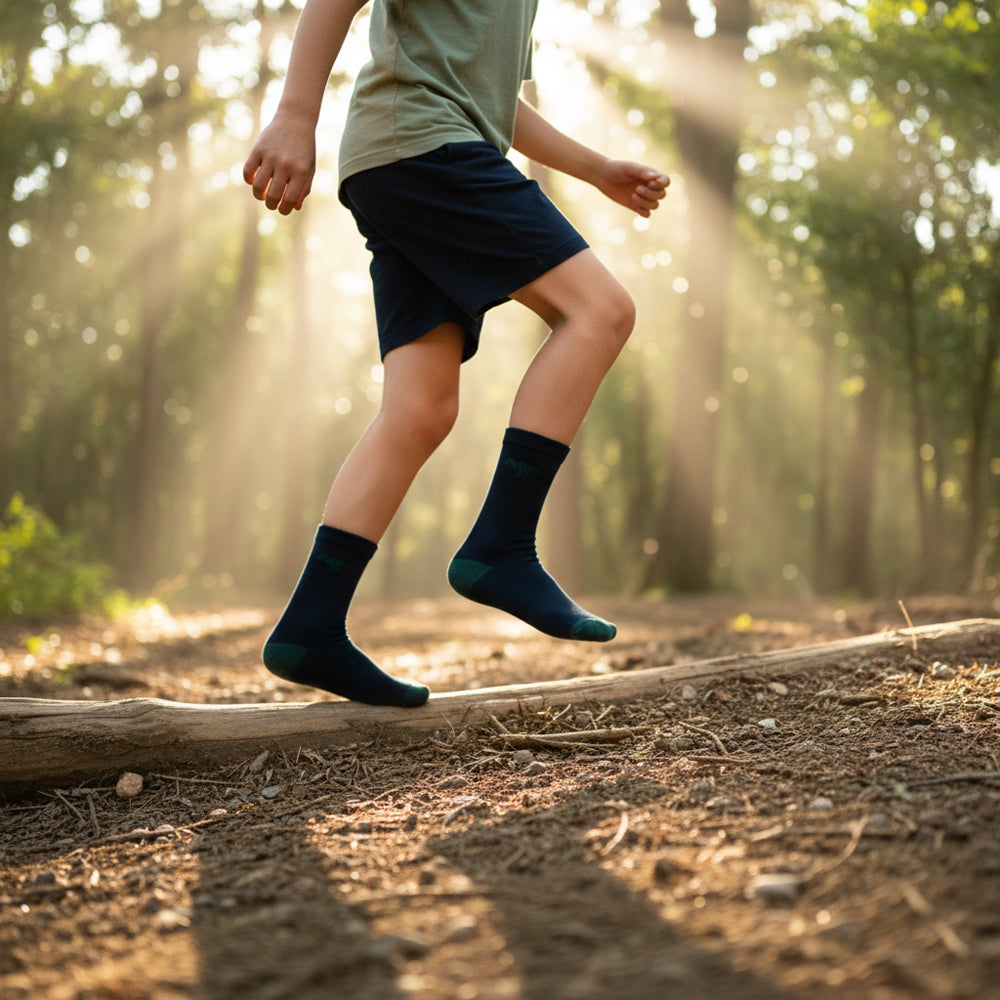 Boy's Dinosaur Adventure Crew Socks