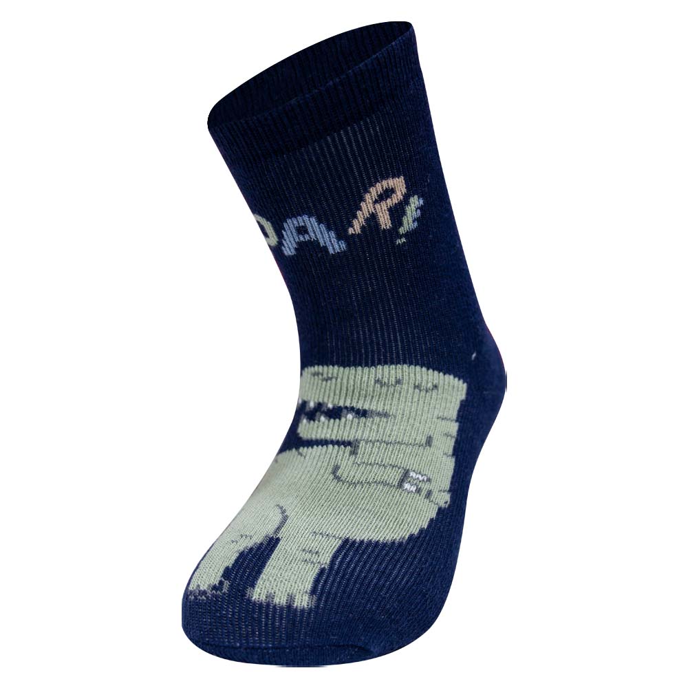 ROAR! Dino Print Anti-Slip Socks for Baby Boys