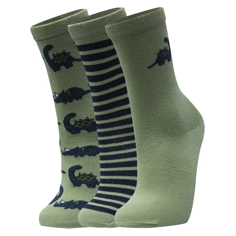 Boy’s Dinosaur Design Socks